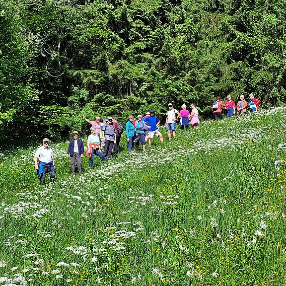 2024_15052024_Wanderung_Grünau_Narzissenwiese__3_.jpg  